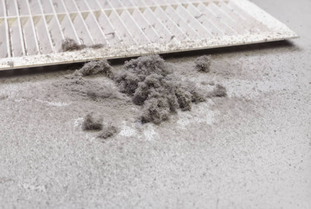 Best Residential Air Duct Cleaning  in Port Allen, LA
